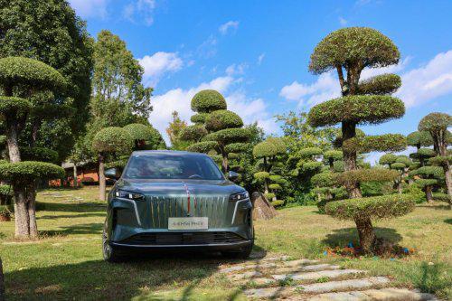 红旗HS6！“新一代奶爸神车”专为家庭而来不朽情缘正规网站适合家用的智驾SUV推荐(图9)